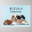 Search for cavalier king charles spaniel gifts Pets
