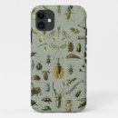 Search for insect cases Bugs