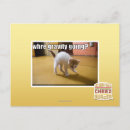 Search for graviti postcards I can has cheezburger