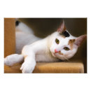 Search for hang out posters Cute