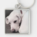 Search for labrador dog key rings Puppy