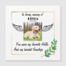 Search for sympathy Loss of pet