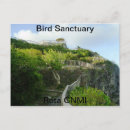 Search for sanctuary postcards Bird