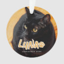 Search for grunge christmas tree decorations Create your own