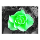 Search for dark green background posters Yellow