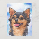Search for chiwawa postcards Pet