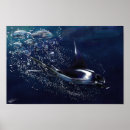 Search for stingray fish posters Ocean
