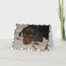 Search for beagle christmas cards Pets
