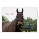 Search for hunter jumper postcards Equestrian