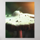 Search for mushroom posters Fungi