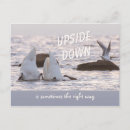 Search for upside postcards Wildlife