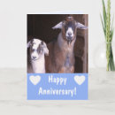 Search for farm anniversary cards Cute