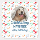 Search for dogs birthday stickers Dog birthday party
