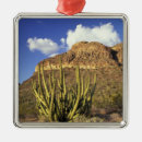 Search for pipe organ christmas tree decorations Arid