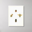 Search for bordered canvas prints Insects