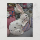 Search for easter postcards Egg