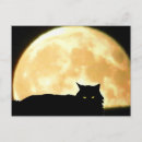 Search for moon cat postcards Cats