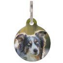 Search for aussie pet Modern