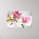 Search for orchid art Blooms