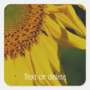 Search for flower petal stickers For her