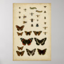 Search for vintage bee posters Background