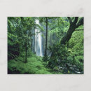 Search for pali Wet