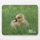 Search for canadian mousepads Goose