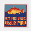Search for fly fishing magnets Carp