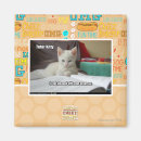 Search for tutor magnets I can has cheezburger