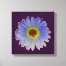 Search for multicoloured canvas prints Multicolored