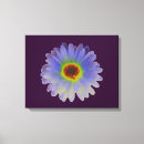 Search for multicoloured canvas prints Multicolored