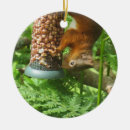 Search for squirrels christmas tree decorations Nature lover