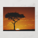 Search for umbrellas postcards Scenic