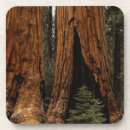 Search for trail coasters Hike