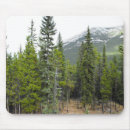 Search for conifer mousepads Nature