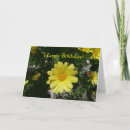 Search for yellow daisy cards Flowers