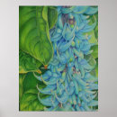 Search for vine posters Floral