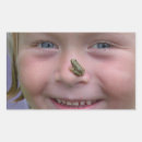 Search for smiling frog stickers Funny
