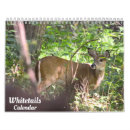 Search for does photography Buck