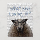 Search for ewe postcards Animals