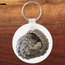 Search for pangolin key rings Nature