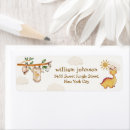 Search for stegosaurus return address labels Dino party