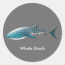Search for whale shark crafts party Life
