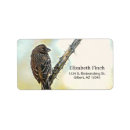 Search for bird house return address labels Nature