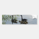 Search for water bumper stickers Goose