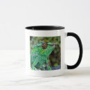 Search for chameleons mugs Wildlife