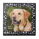 Search for pet photo tiles Unique
