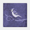 Search for jay magnets Blue jays