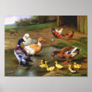 Search for chicken painting posters Farm