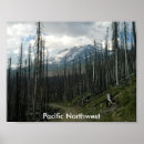 Search for the pacific posters Trees
